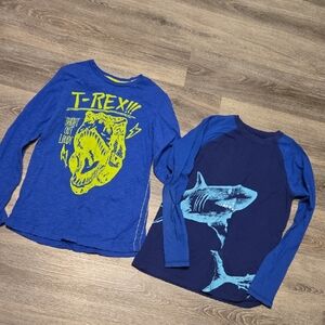 Lot Of 2 LS Blue Graphic Tees Sz XL/12